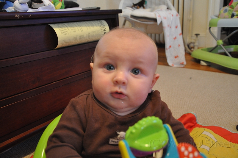 William's Nineteenth Week 40.jpg